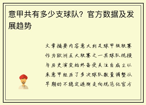 意甲共有多少支球队？官方数据及发展趋势